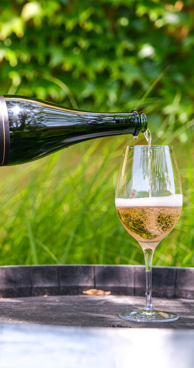 Pouring sparkling wine into a glass. Photography by Julia La Rue.